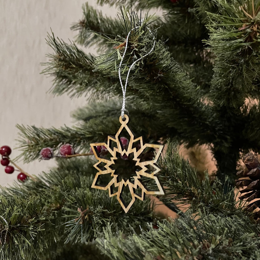 Snowflakes Ornaments B- Set of 6