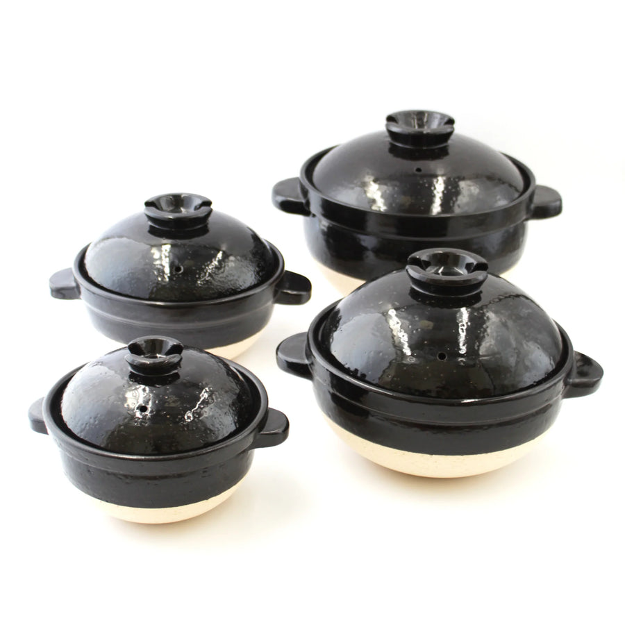 Iga-yaki Double Lid Rice Pot