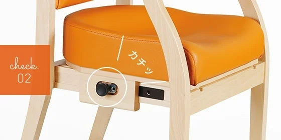 Wellness Chair