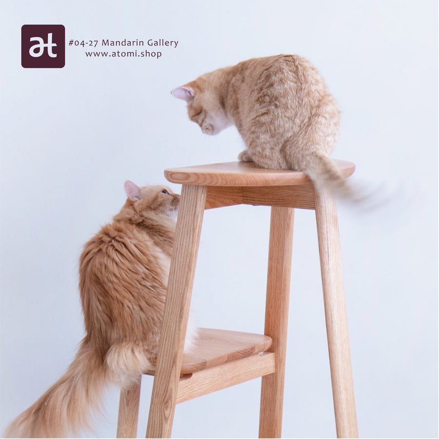 Tateno Cat Step