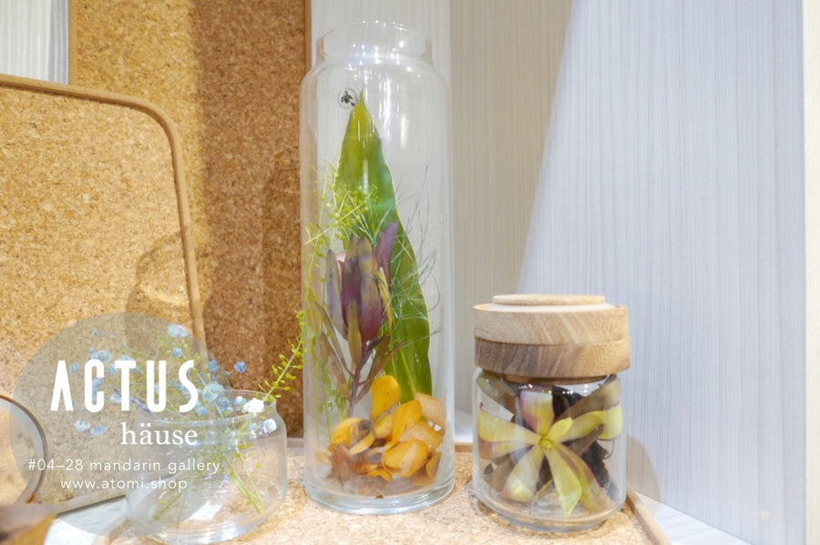 SIAM Colon Glass Jar - atomi shop